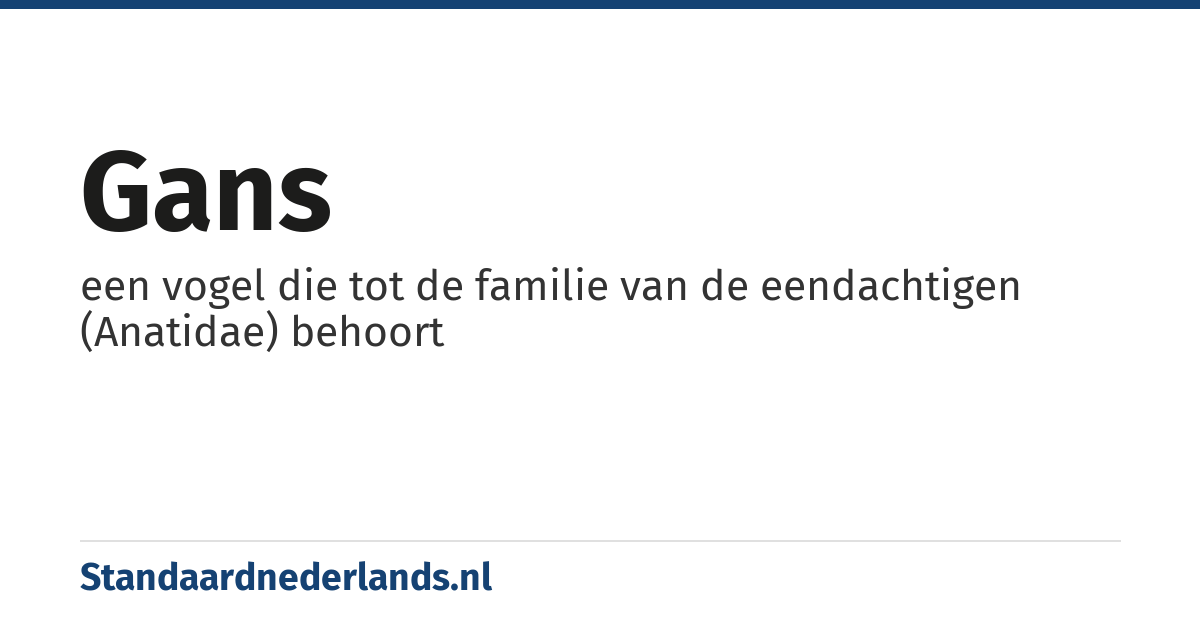 gans: een vogel die tot de familie van de eendachtigen (Anatidae) behoort