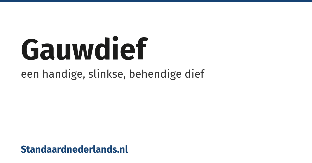 gauwdief: een handige, slinkse, behendige dief