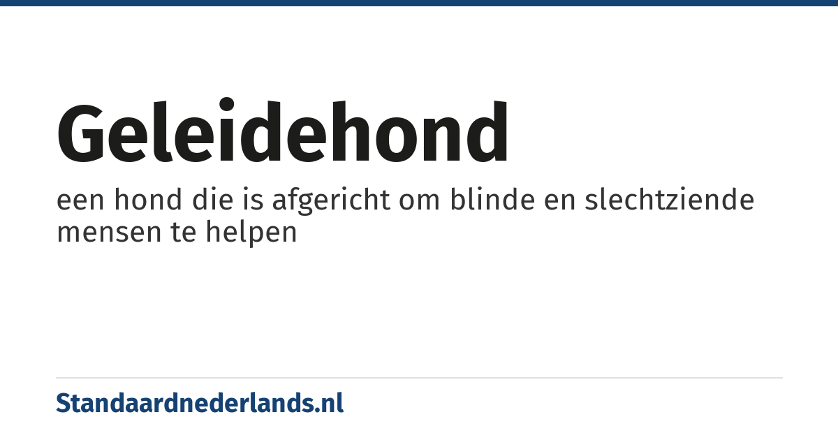geleidehond: een hond die is afgericht om blinde en slechtziende mensen te helpen
