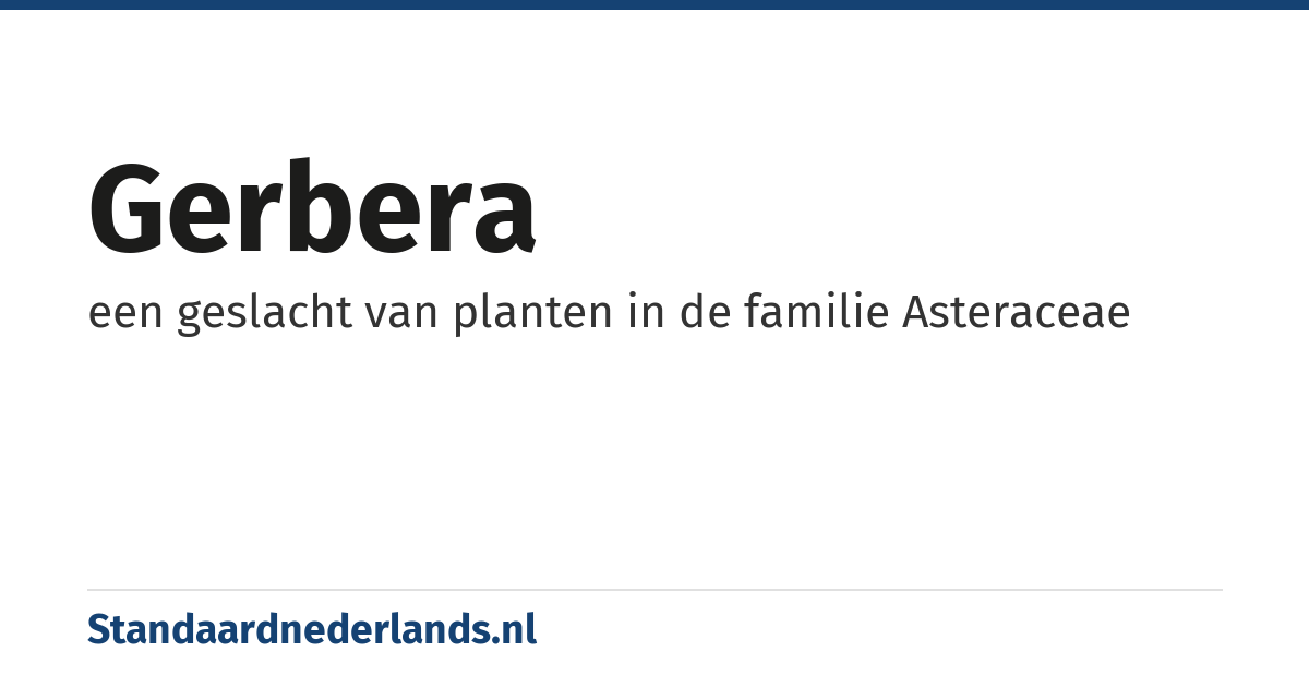 gerbera: een geslacht van planten in de familie Asteraceae