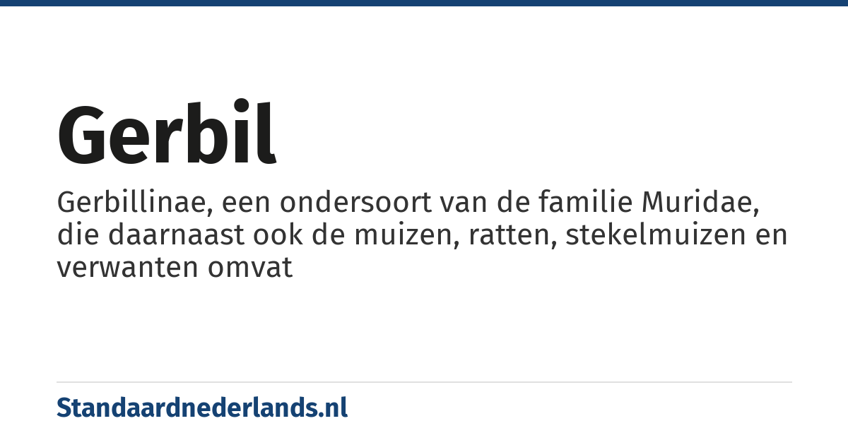 gerbil: Gerbillinae, een ondersoort van de familie Muridae, die daarnaast ook de muizen, ratten, stekelmuizen en verwanten omvat