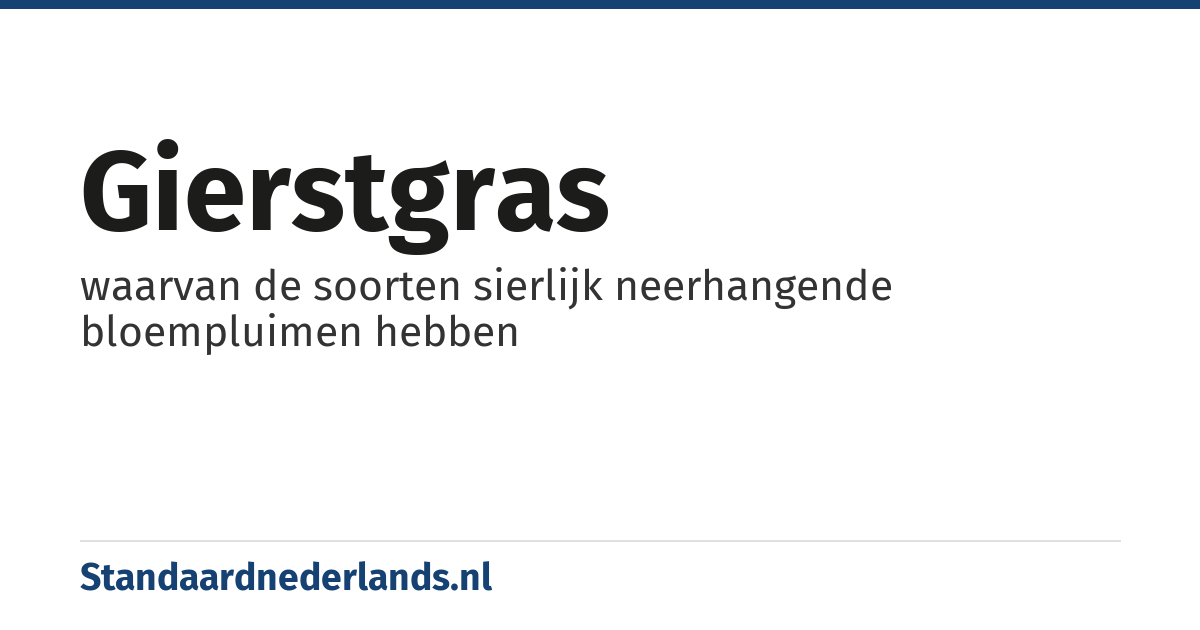gierstgras: waarvan de soorten sierlijk neerhangende bloempluimen hebben