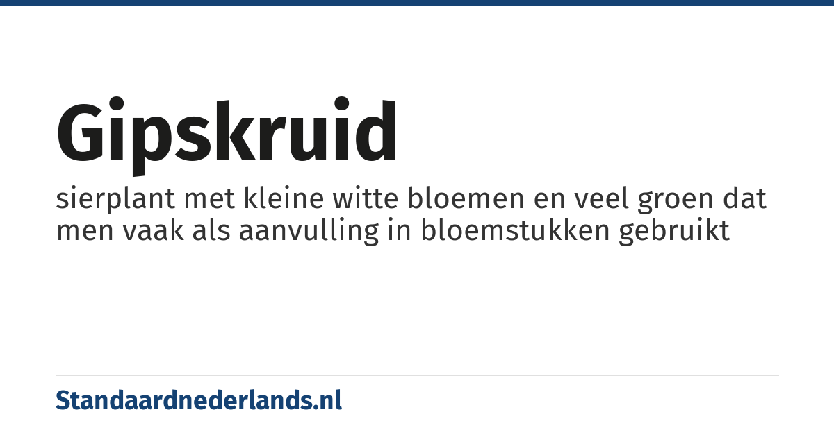 gipskruid: sierplant met kleine witte bloemen en veel groen dat men vaak als aanvulling in bloemstukken gebruikt