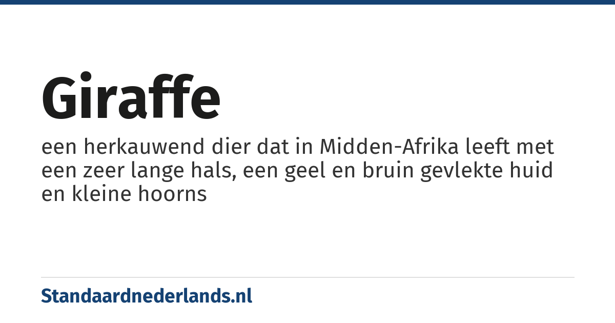 giraffe: een herkauwend dier dat in Midden-Afrika leeft met een zeer lange hals, een geel en bruin gevlekte huid en kleine hoorns