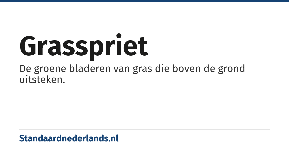 grasspriet: De groene bladeren van gras die boven de grond uitsteken.