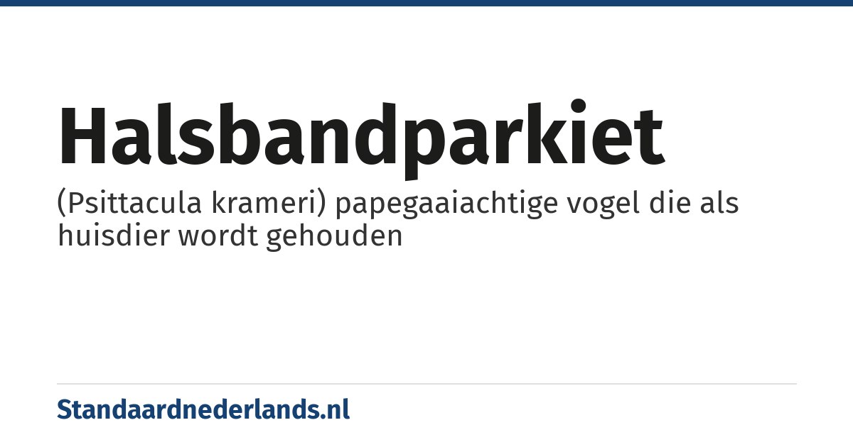 halsbandparkiet: (Psittacula krameri) papegaaiachtige vogel die als huisdier wordt gehouden