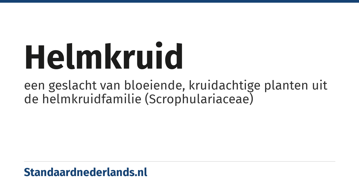 helmkruid: een geslacht van bloeiende, kruidachtige planten uit de helmkruidfamilie (Scrophulariaceae)