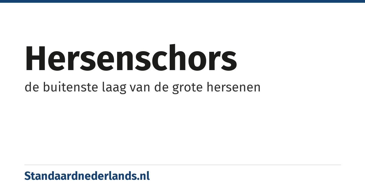 hersenschors: de buitenste laag van de grote hersenen