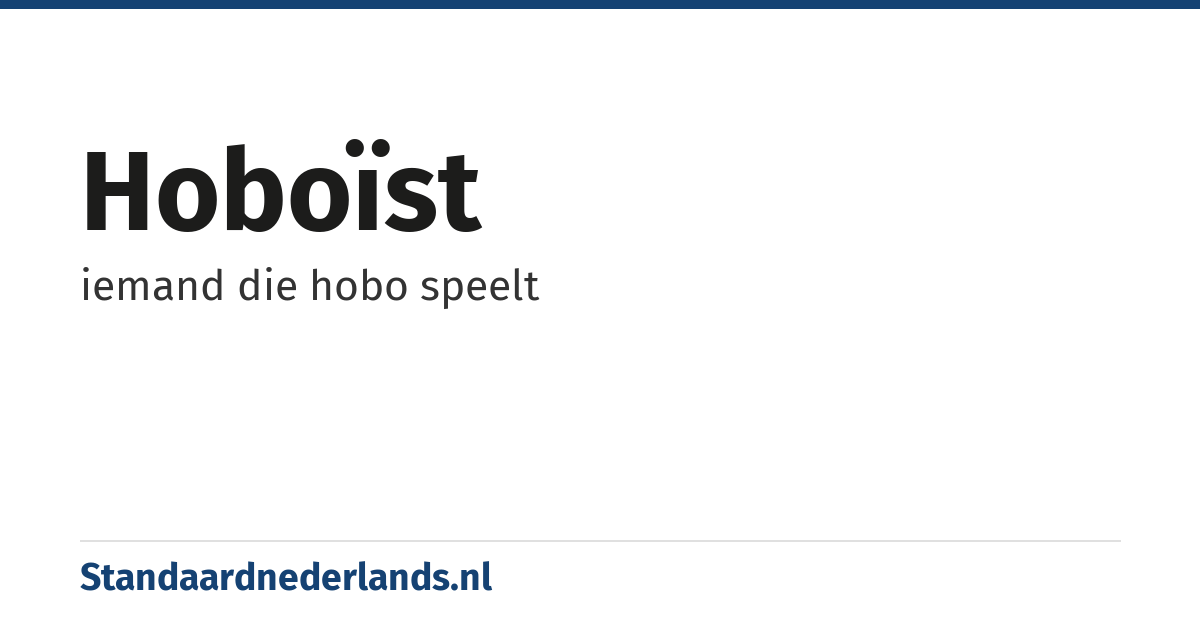 hoboïst: iemand die hobo speelt