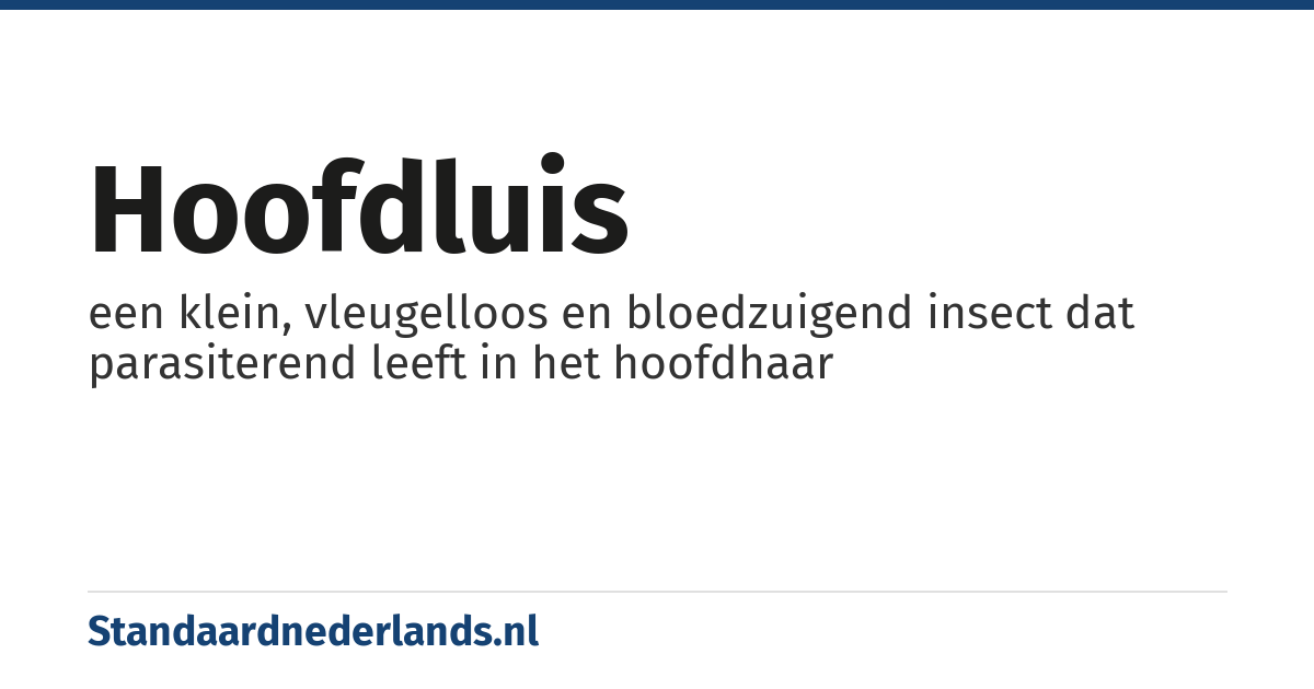 hoofdluis: een klein, vleugelloos en bloedzuigend insect dat parasiterend leeft in het hoofdhaar