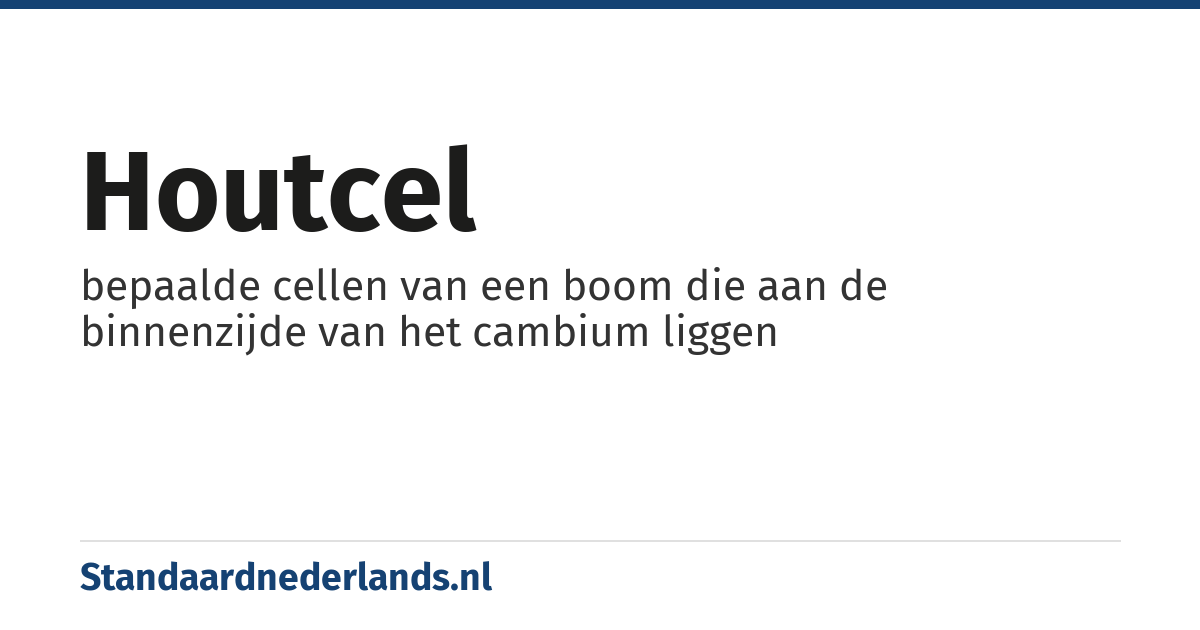 houtcel: bepaalde cellen van een boom die aan de binnenzijde van het cambium liggen