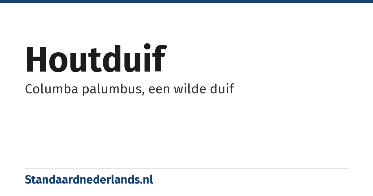 houtduif: Columba palumbus, een wilde duif