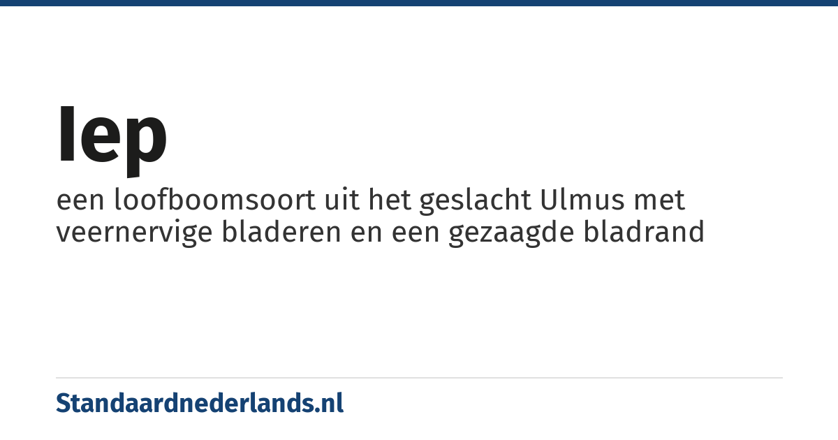 iep: een loofboomsoort uit het geslacht Ulmus met veernervige bladeren en een gezaagde bladrand