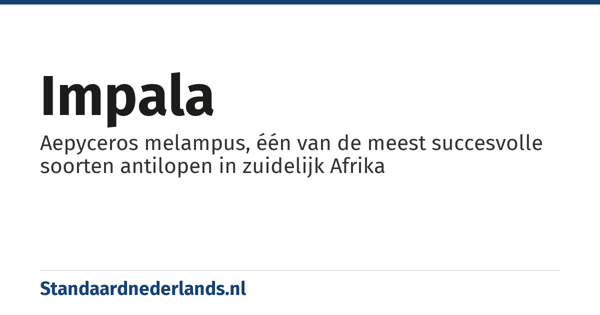 impala: Aepyceros melampus, één van de meest succesvolle soorten antilopen in zuidelijk Afrika
