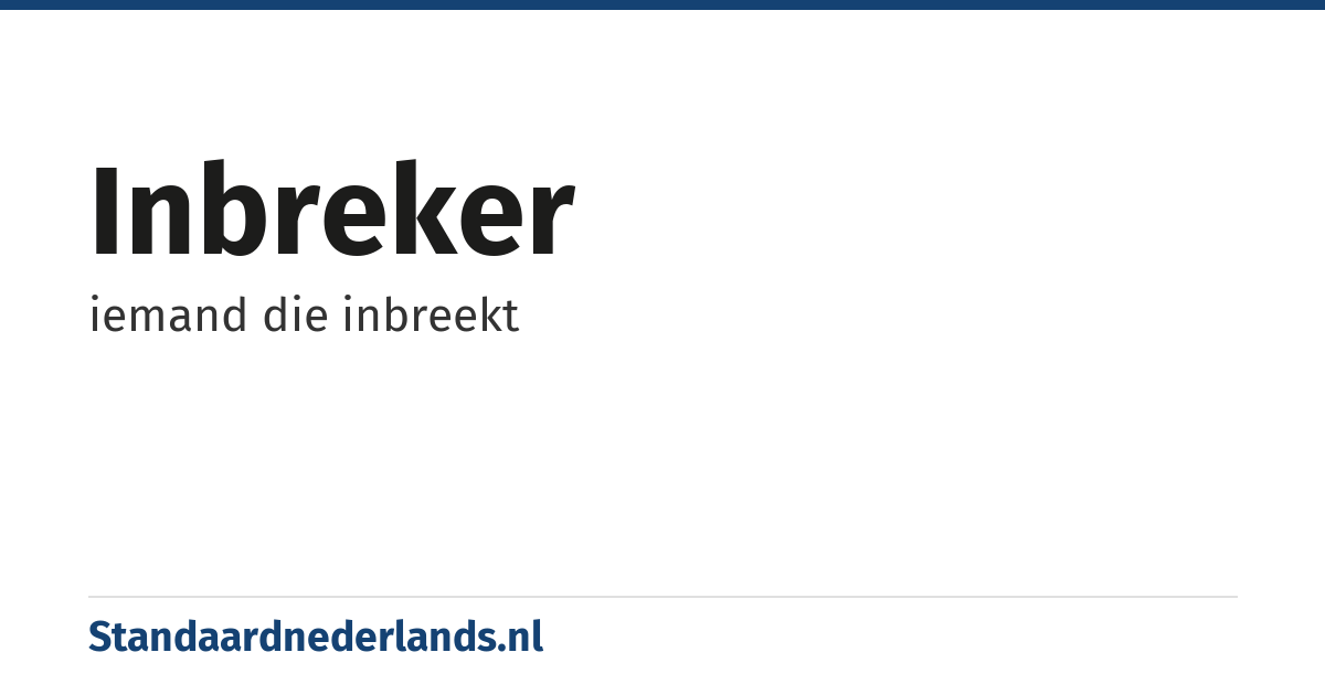 inbreker: iemand die inbreekt