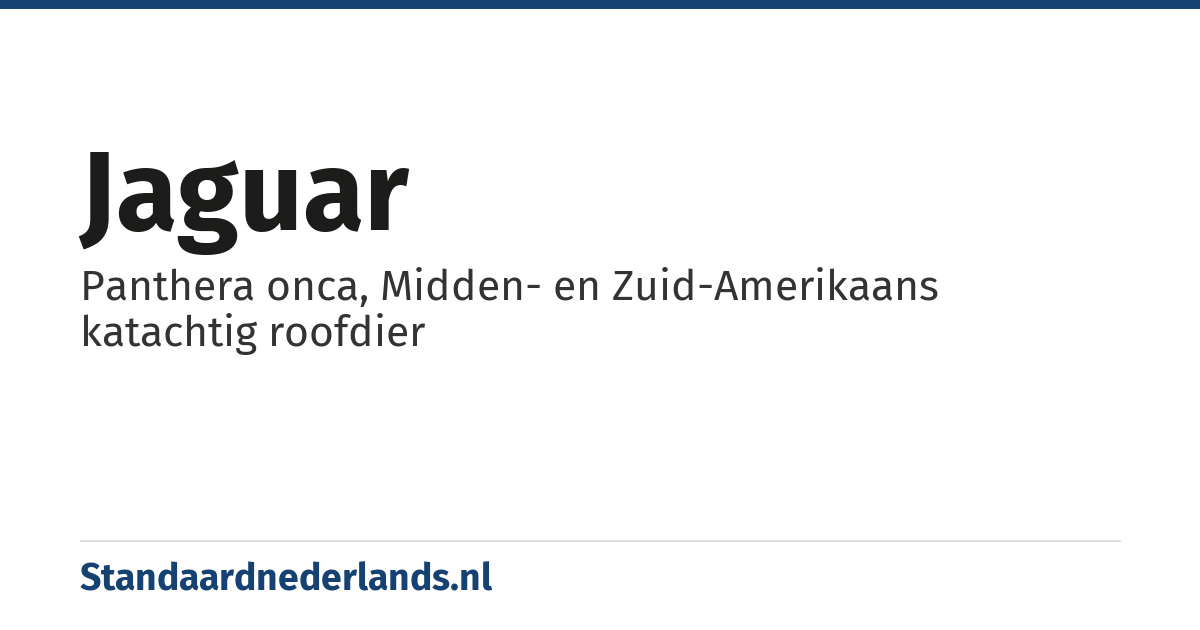 jaguar: Panthera onca, Midden- en Zuid-Amerikaans katachtig roofdier