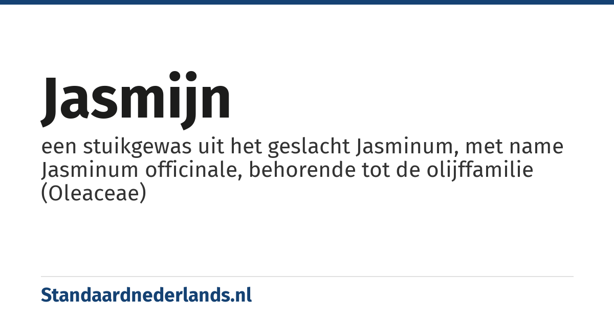 jasmijn: een stuikgewas uit het geslacht Jasminum, met name Jasminum officinale, behorende tot de olijffamilie (Oleaceae)