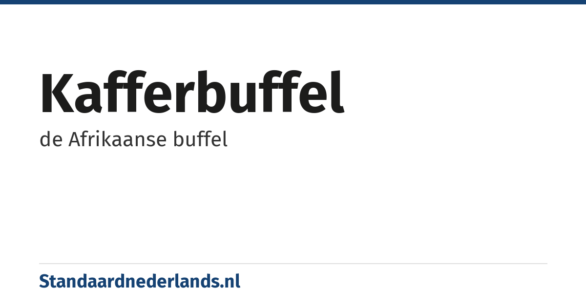 kafferbuffel: de Afrikaanse buffel