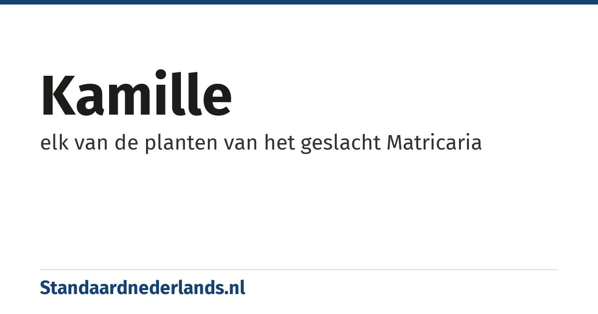 kamille: elk van de planten van het geslacht Matricaria