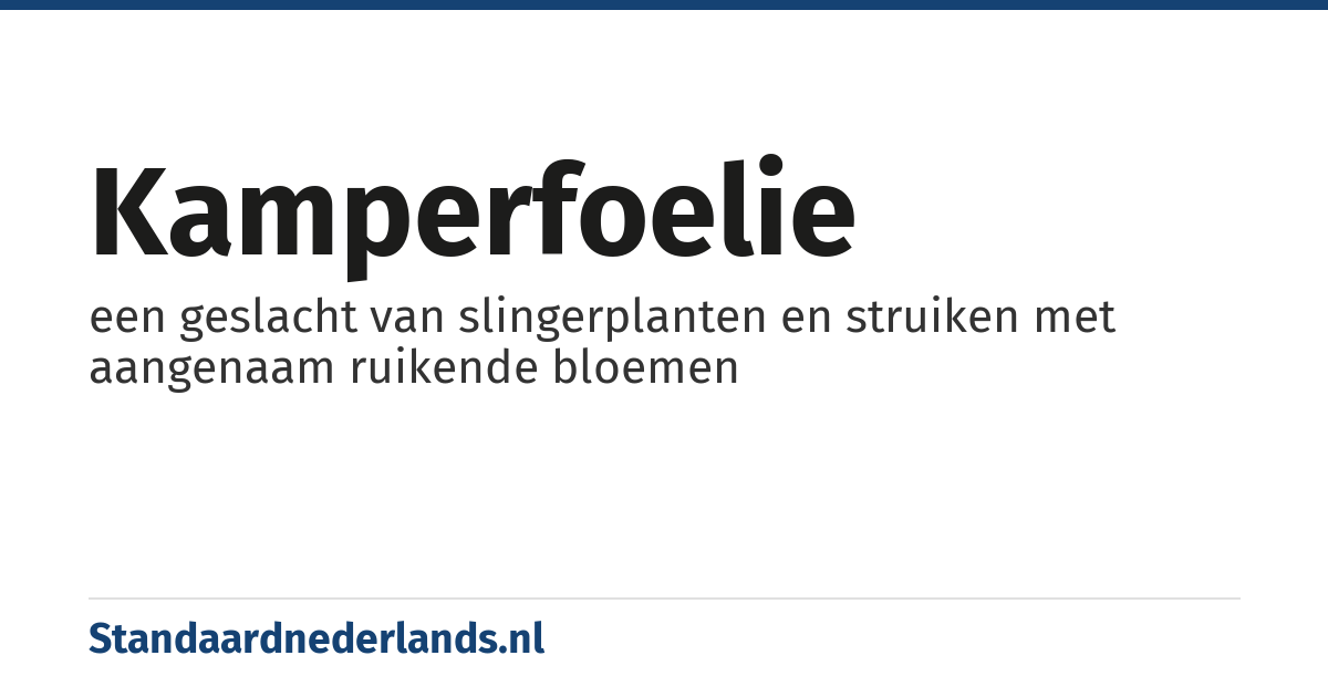 kamperfoelie: een geslacht van slingerplanten en struiken met aangenaam ruikende bloemen