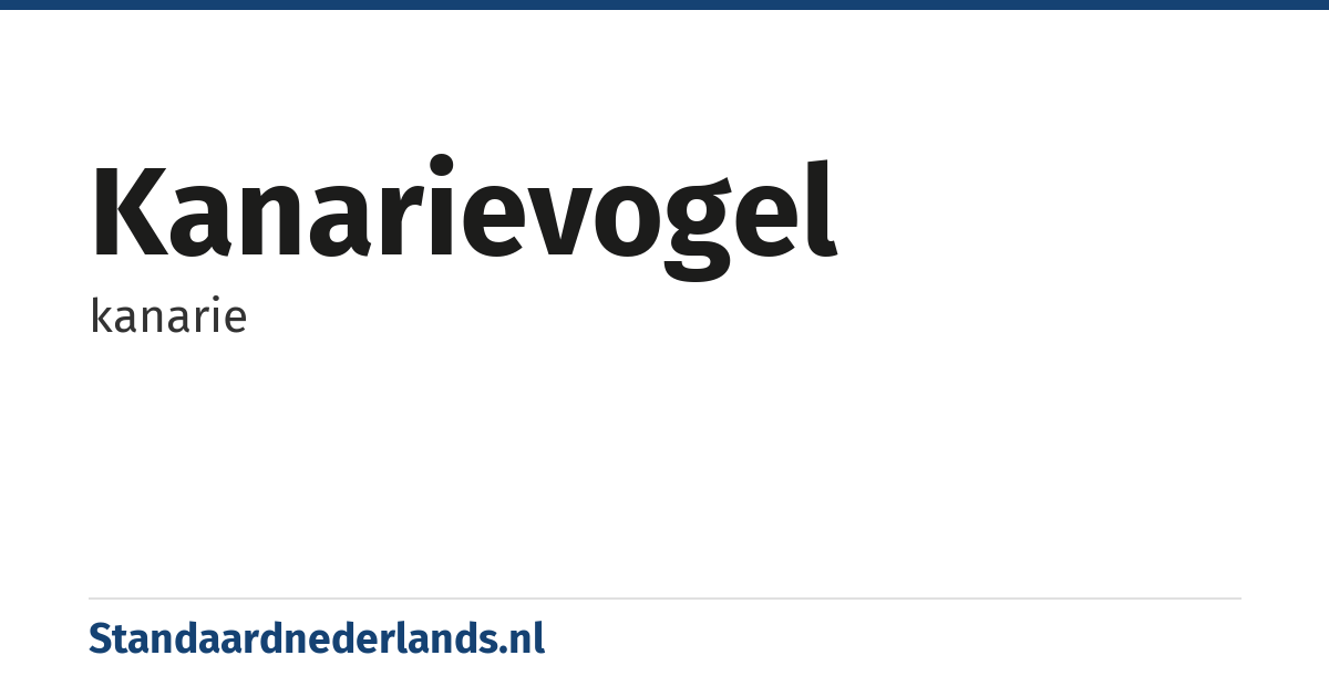 kanarievogel: kanarie