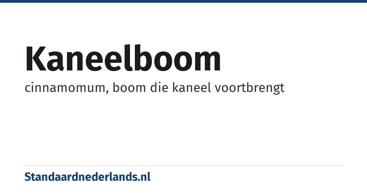 kaneelboom: cinnamomum, boom die kaneel voortbrengt