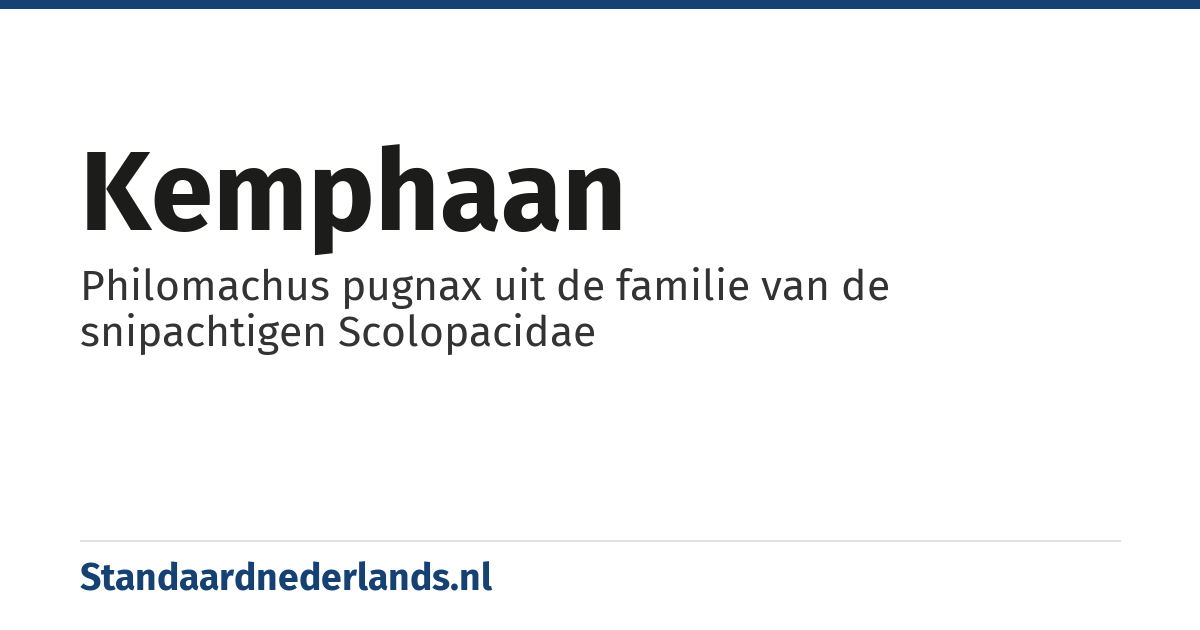 kemphaan: Philomachus pugnax uit de familie van de snipachtigen Scolopacidae