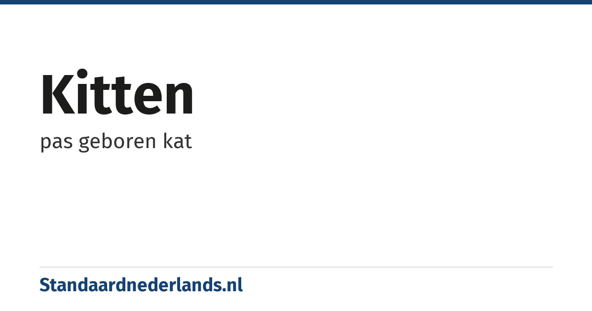 kitten: pas geboren kat