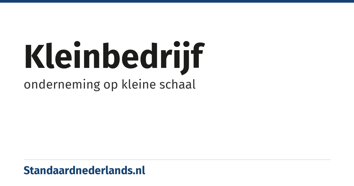 kleinbedrijf: onderneming op kleine schaal