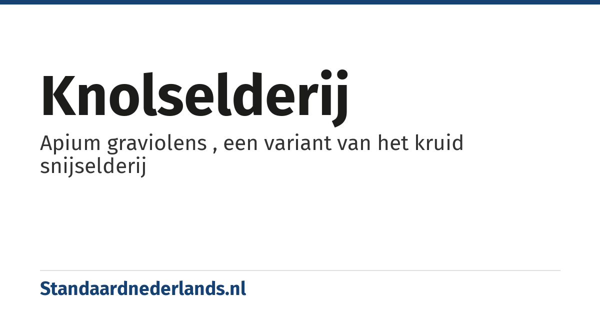 knolselderij: Apium graviolens , een variant van het kruid snijselderij