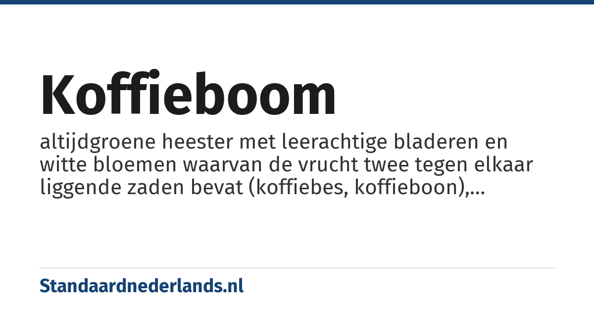 koffieboom: altijdgroene heester met leerachtige bladeren en witte bloemen waarvan de vrucht twee tegen elkaar liggende zaden bevat (koffiebes, koffieboon), waarvan de koffie bereid wordt