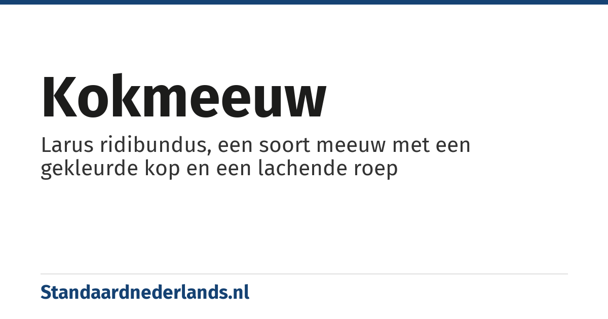 kokmeeuw: Larus ridibundus, een soort meeuw met een gekleurde kop en een lachende roep