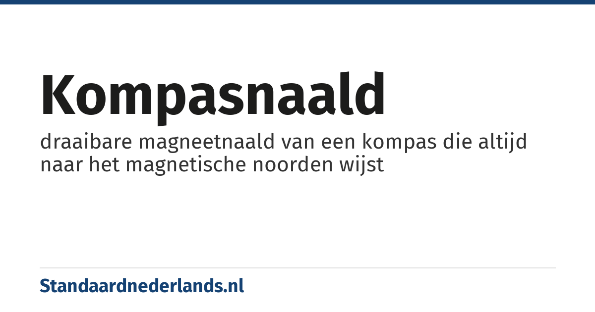 kompasnaald: draaibare magneetnaald van een kompas die altijd naar het magnetische noorden wijst