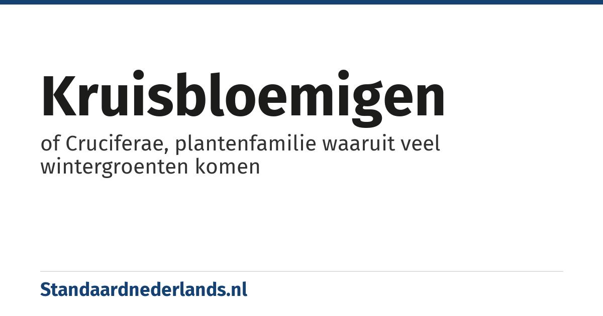 kruisbloemigen: of Cruciferae, plantenfamilie waaruit veel wintergroenten komen
