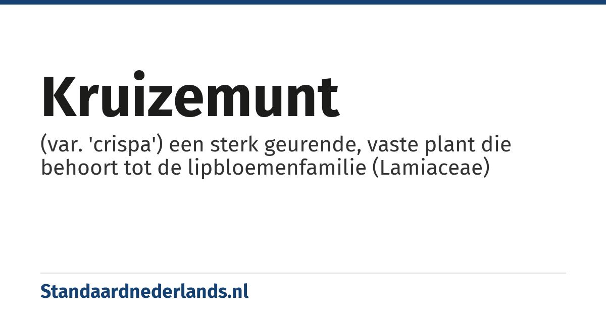 kruizemunt: (var. 'crispa') een sterk geurende, vaste plant die behoort tot de lipbloemenfamilie (Lamiaceae)