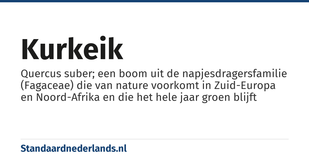 kurkeik: Quercus suber; een boom uit de napjesdragersfamilie (Fagaceae) die van nature voorkomt in Zuid-Europa en Noord-Afrika en die het hele jaar groen blijft