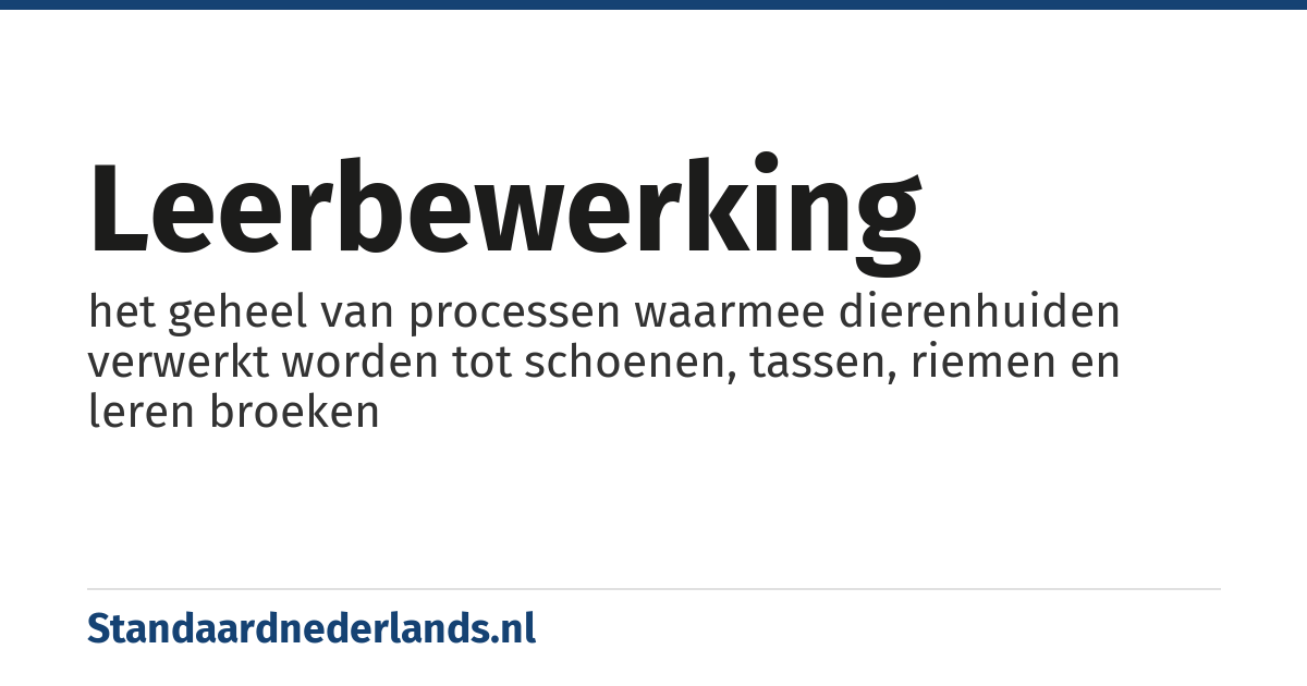 leerbewerking: het geheel van processen waarmee dierenhuiden verwerkt worden tot schoenen, tassen, riemen en leren broeken