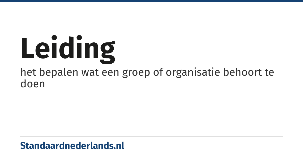 leiding: het bepalen wat een groep of organisatie behoort te doen