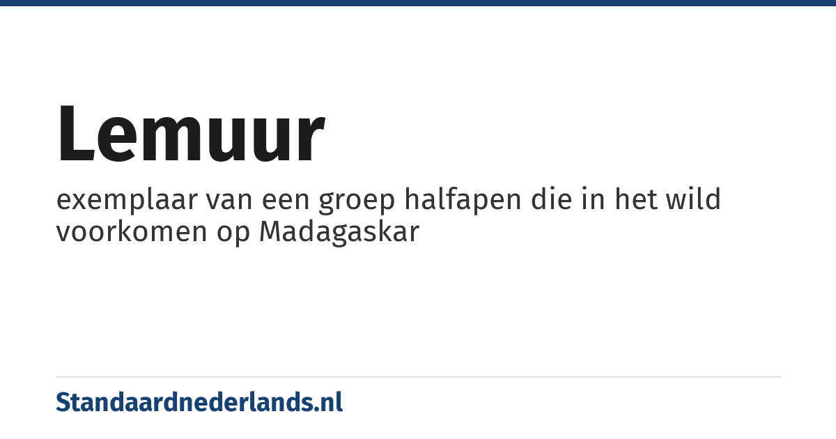 lemuur: exemplaar van een groep halfapen die in het wild voorkomen op Madagaskar