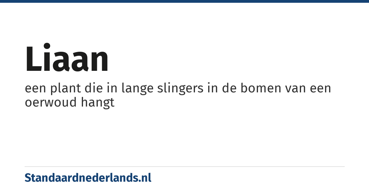 liaan: een plant die in lange slingers in de bomen van een oerwoud hangt