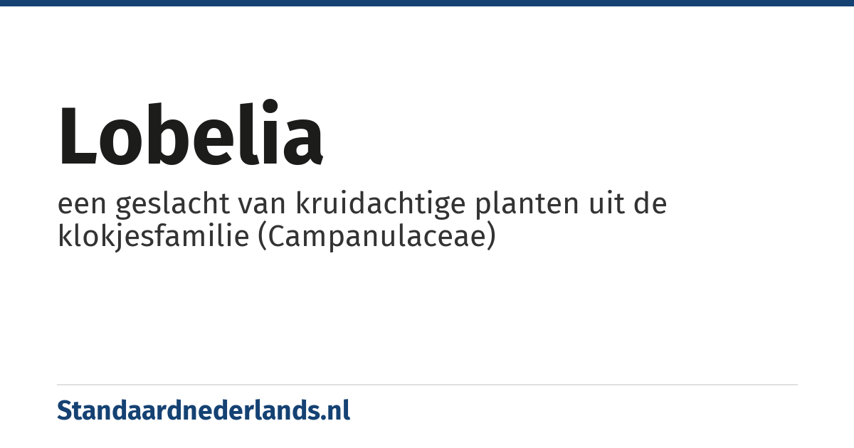 lobelia: een geslacht van kruidachtige planten uit de klokjesfamilie (Campanulaceae)