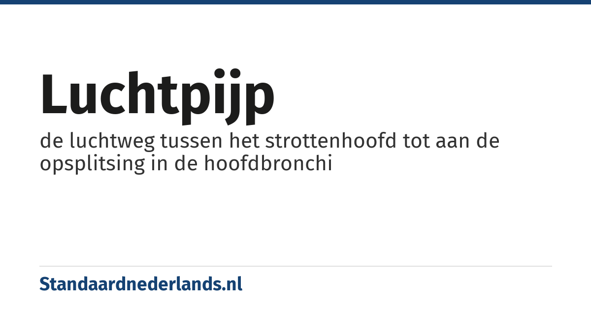 luchtpijp: de luchtweg tussen het strottenhoofd tot aan de opsplitsing in de hoofdbronchi