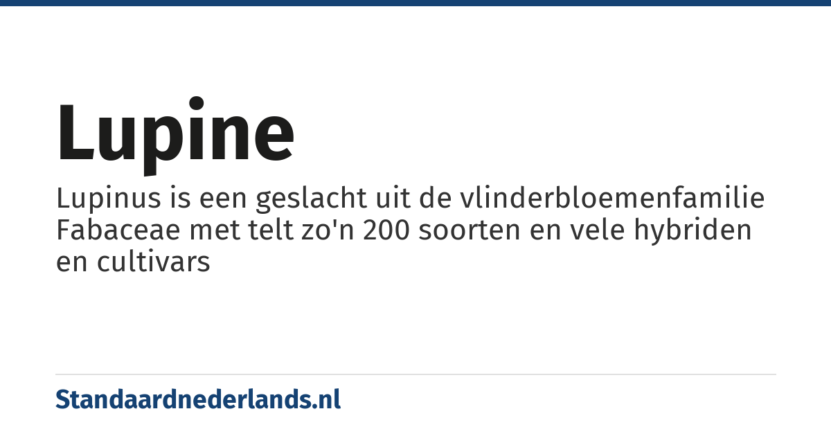 lupine: Lupinus is een geslacht uit de vlinderbloemenfamilie Fabaceae met telt zo'n 200 soorten en vele hybriden en cultivars