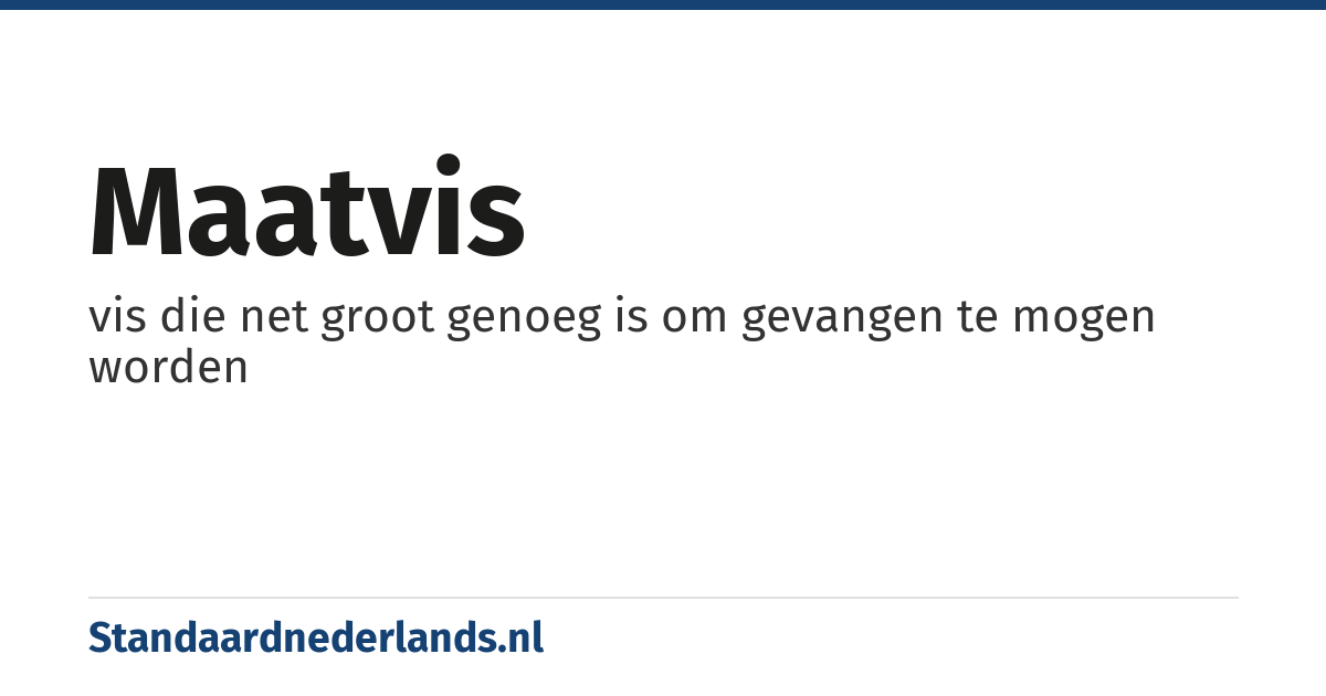 maatvis: vis die net groot genoeg is om gevangen te mogen worden