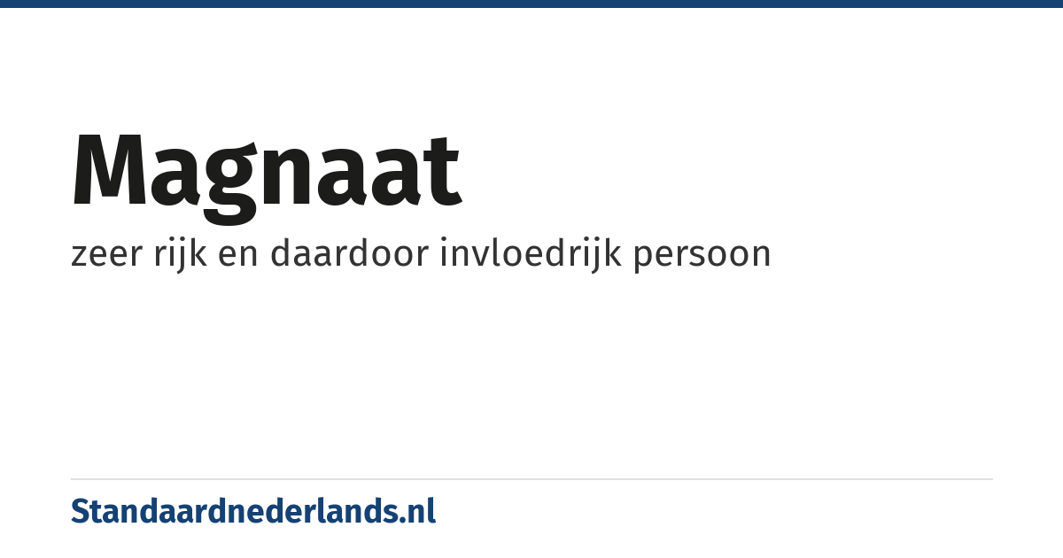 magnaat: zeer rijk en daardoor invloedrijk persoon