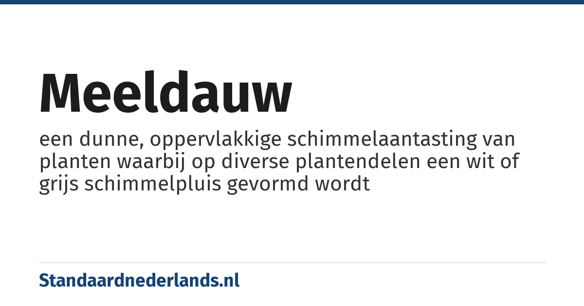 meeldauw: een dunne, oppervlakkige schimmelaantasting van planten waarbij op diverse plantendelen een wit of grijs schimmelpluis gevormd wordt