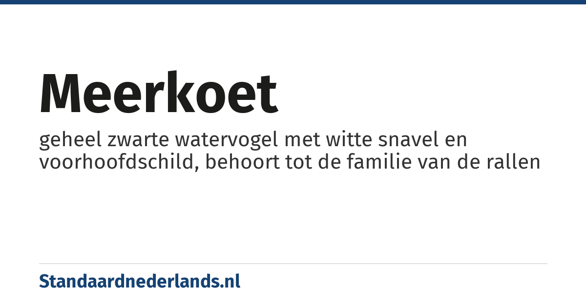 meerkoet: geheel zwarte watervogel met witte snavel en voorhoofdschild, behoort tot de familie van de rallen