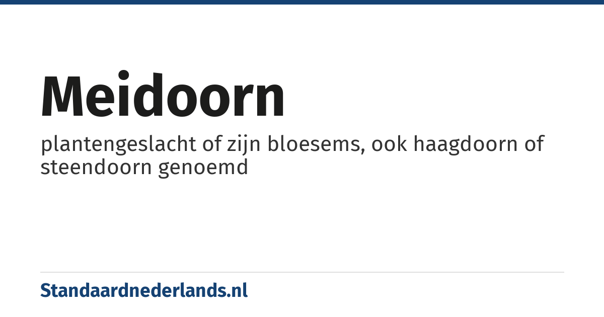 meidoorn: plantengeslacht of zijn bloesems, ook haagdoorn of steendoorn genoemd