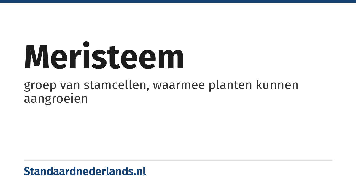 meristeem: groep van stamcellen, waarmee planten kunnen aangroeien