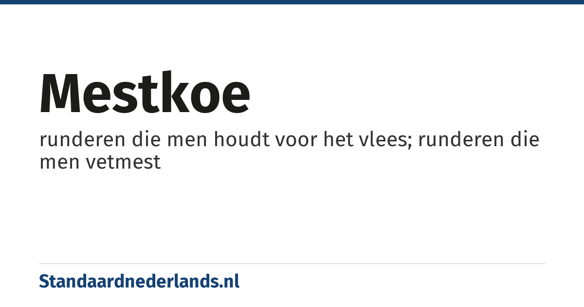mestkoe: runderen die men houdt voor het vlees; runderen die men vetmest